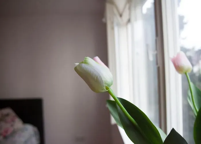 New 4star Apartamento